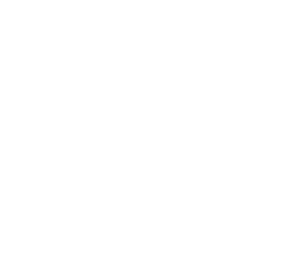 RZ 28